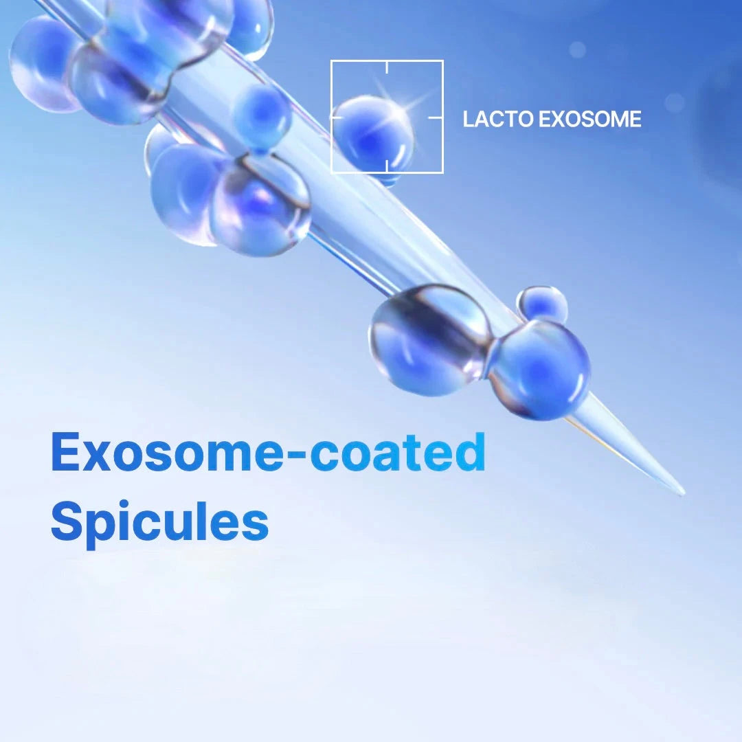 Spicule