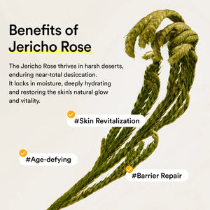 JERICHO ROSE MIST SERUM GLOW SPRAY 100ml