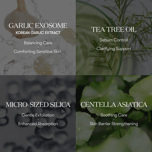 GARLIC AC REEDLE SHOT POINT PATCH 9ea