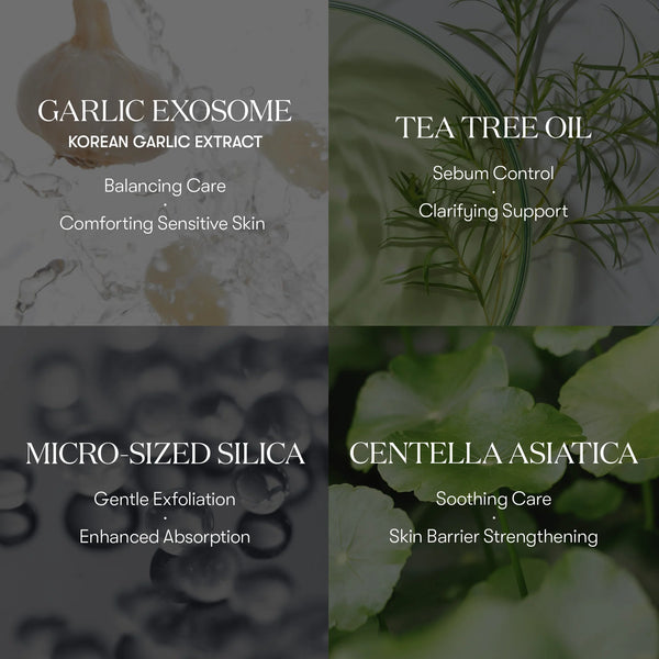 GARLIC AC REEDLE SHOT POINT PATCH 9ea