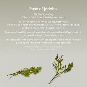 Jericho rose bifida serum firming drop 50ml