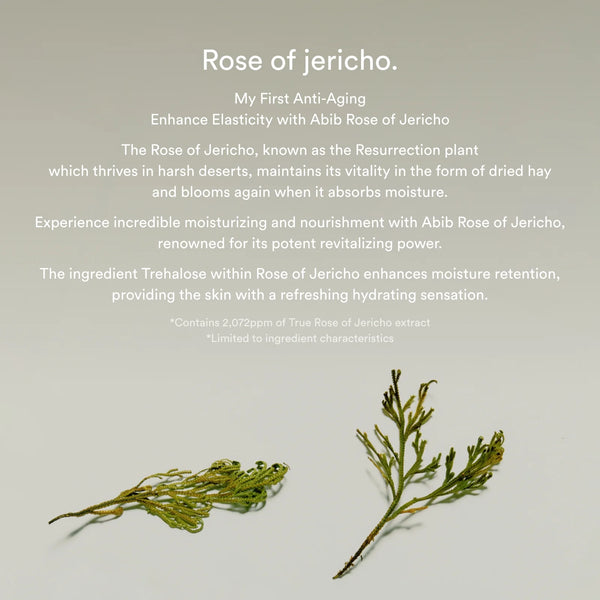 Jericho rose bifida serum firming drop 50ml