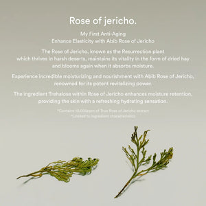 Collagen eye crème Jericho rose tube 30ml