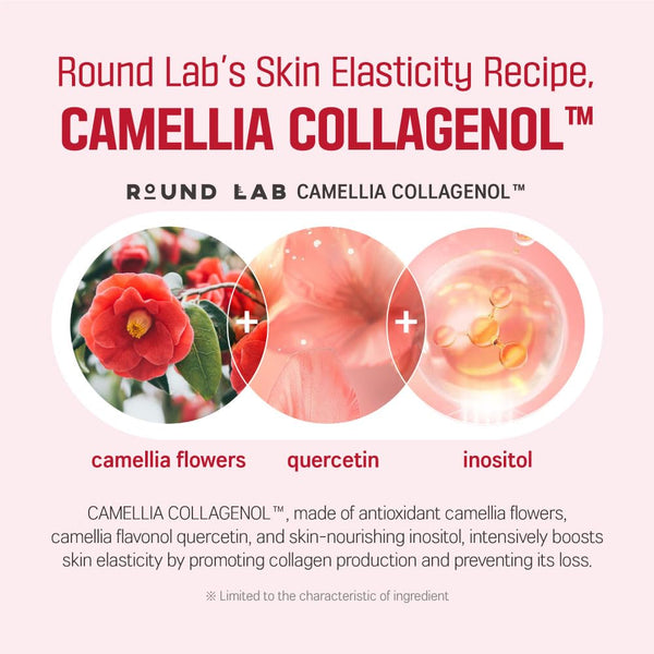 Camellia Deep Collagen Firming Ampoule 30ml