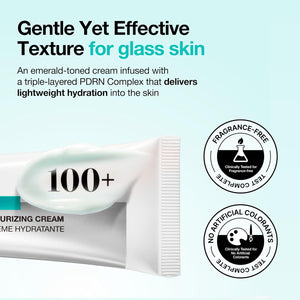 PDRN Hyaluronic Acid 100 Moisture Cream 60ml