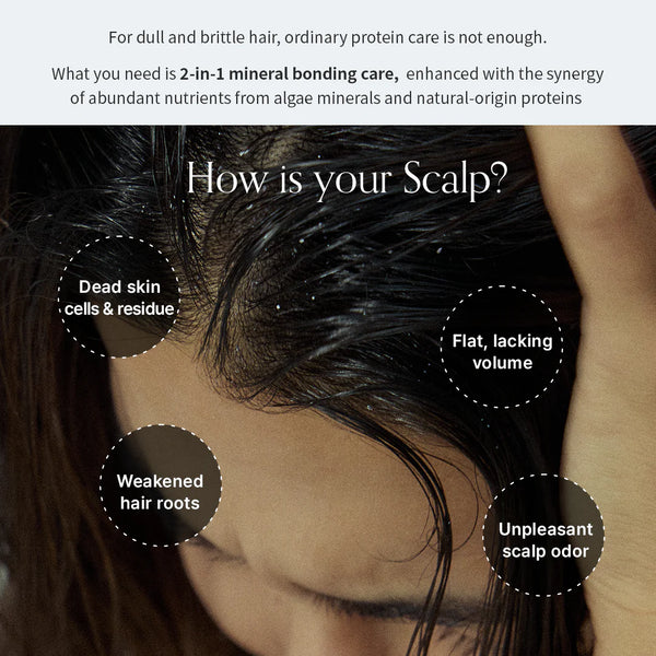 Algae Therapy Shampoo 500ml