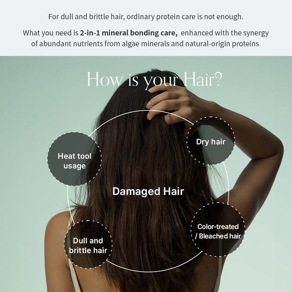 Algae Therapy No-wash Treatment 150ml