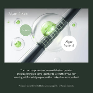 Algae Therapy No-wash Treatment 150ml