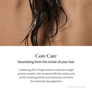 Damage Therapy Hair Treatment EX 220g