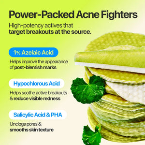 Zero Blemish Azela Cica Balancing Dual Pads 210ml (60Pads)