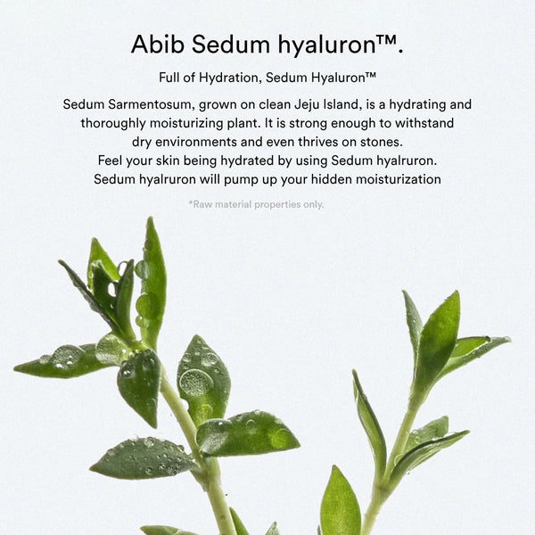 Sedum Hyaluron Pad Hydrting Touch 165ml / 75pads