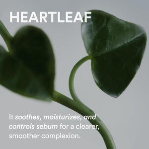 Heartleaf creme Calming Tube 75ml