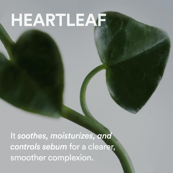 Heartleaf creme Calming Tube 75ml