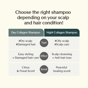 Day Collagen Shampoo Morning of Resort 360ml