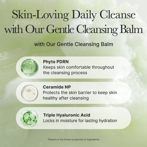Pore Melt Phyto PDRN Cleansing Balm 90ml