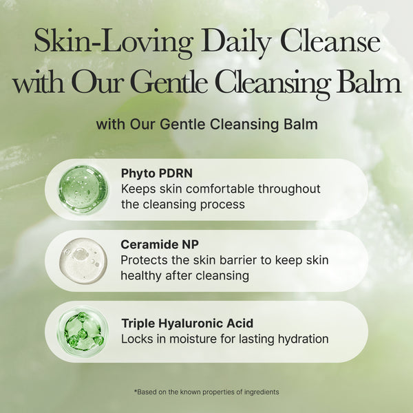 Pore Melt Phyto PDRN Cleansing Balm 90ml