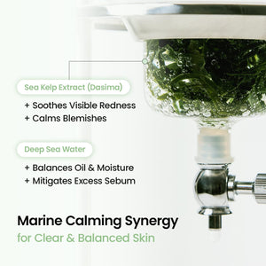Refreshing Sea Kelp Real Deep Mask 4 stk