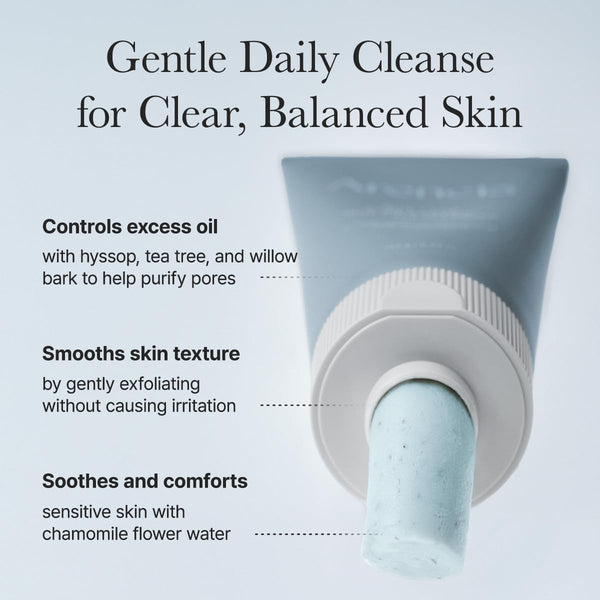 Hyssop Sebum Control Rice Cake Cleanser 150g