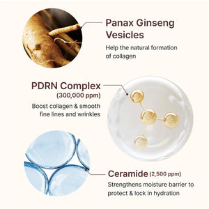 PDRN Firming Boosting Ampoule 30ml