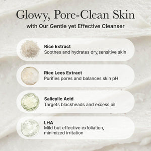 Rice + LHA Pore Control Rice Cake Cleanser 150g
