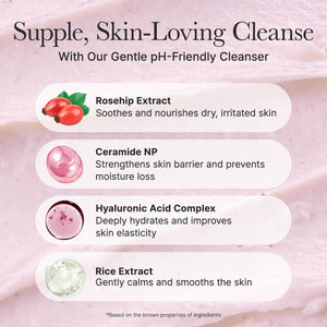 Rosehip Mild PH Balancing Rice Cake Cleanser 150g