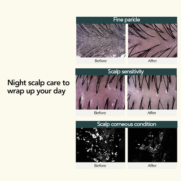 Night Collagen Shampoo Midnight Forest 360ml