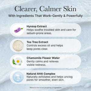 Hyssop Sebum Control Rice Cake Cleanser 150g