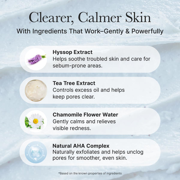 Hyssop Sebum Control Rice Cake Cleanser 150g