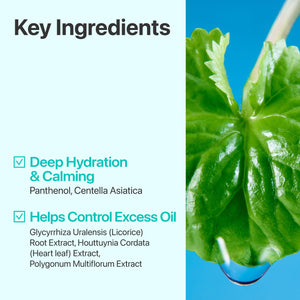 No.1 Pure-full Calming Herb Toner 300ml