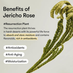 Jericho Rose Créme Nutrition Tube 75g