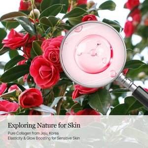 Camellia Deep Collagen PDRN Milky Toner