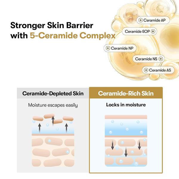 Rice Ceramide Capsule Cream 50ml