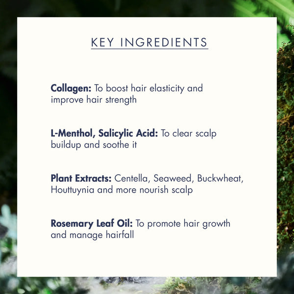 Night Collagen Shampoo Midnight Forest 360ml