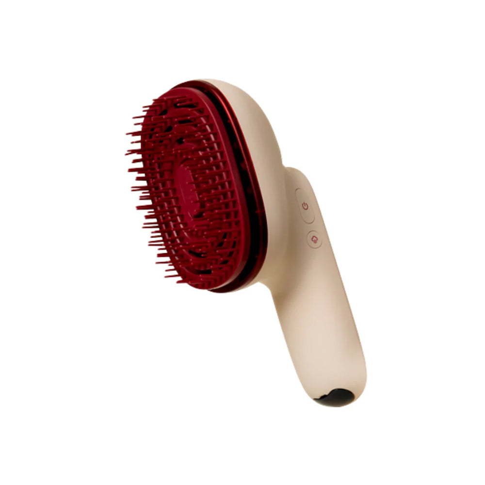 Hair Steamer Pro