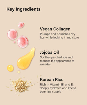 Vegan Lip Treatment - 02 Rose