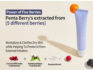 Penta Berry Panthenol Repari Lip Treatment01 Fig Berry